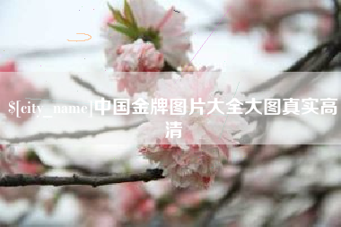 鹰潭中国金牌图片大全大图真实高清