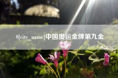 鹰潭中国奥运金牌第九金