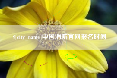 鹰潭中国消防官网报名时间