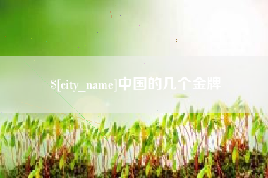 鹰潭中国的几个金牌