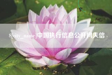 鹰潭中国执行信息公开网失信
