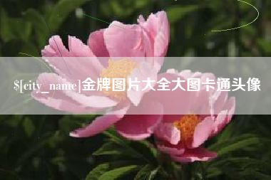 鹰潭金牌图片大全大图卡通头像