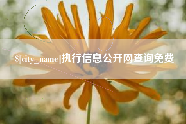 鹰潭执行信息公开网查询免费