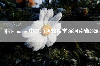 鹰潭中国消防救援学院河南省2020